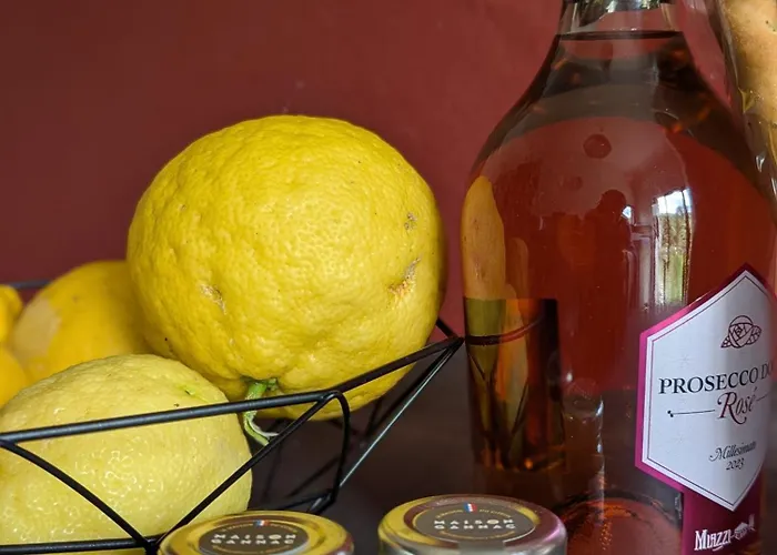 Maison De Famille Entre & Collines - Charme, Citronniers Et Tranquillite - Acces Marche Et Sentier 3 Min 펜션