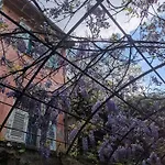 Maison De Famille Entre & Collines - Charme, Citronniers Et Tranquillite - Acces Marche Et Sentier 3 Min Ferienhaus Menton