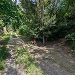 Maison De Famille Entre & Collines - Charme, Citronniers Et Tranquillite - Acces Marche Et Sentier 3 Min