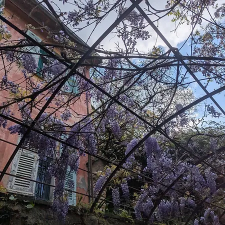 Maison De Famille Entre & Collines - Charme, Citronniers Et Tranquillite - Acces Marche Et Sentier 3 Min Holiday home Menton