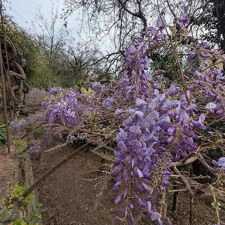 Holiday home Maison De Famille Entre & Collines - Charme, Citronniers Et Tranquillite - Acces Marche Et Sentier 3 Min *