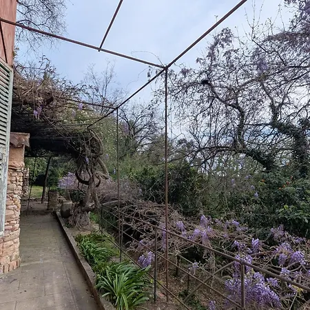 Prázdninový dům Maison De Famille Entre & Collines - Charme, Citronniers Et Tranquillite - Acces Marche Et Sentier 3 Min Menton