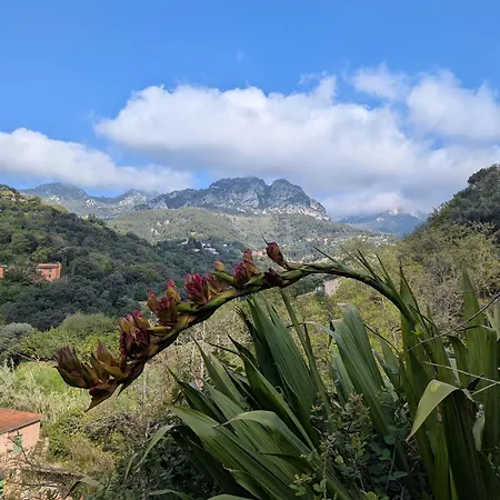 Maison De Famille Entre & Collines - Charme, Citronniers Et Tranquillite - Acces Marche Et Sentier 3 Min Menton