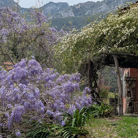 Prázdninový dům Maison De Famille Entre & Collines - Charme, Citronniers Et Tranquillite - Acces Marche Et Sentier 3 Min Menton