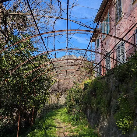 Maison De Famille Entre & Collines - Charme, Citronniers Et Tranquillite - Acces Marche Et Sentier 3 Min *