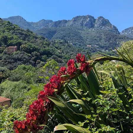 Maison De Famille Entre & Collines - Charme, Citronniers Et Tranquillite - Acces Marche Et Sentier 3 Min * 芒通