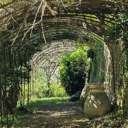 Maison De Famille Entre & Collines - Charme, Citronniers Et Tranquillite - Acces Marche Et Sentier 3 Min Prázdninový dům *