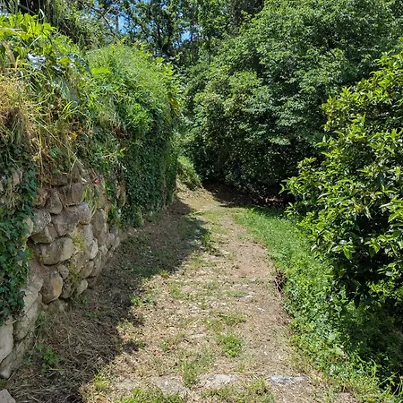 Maison De Famille Entre & Collines - Charme, Citronniers Et Tranquillite - Acces Marche Et Sentier 3 Min