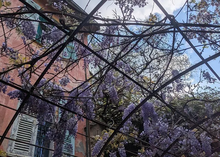 Maison De Famille Entre & Collines - Charme, Citronniers Et Tranquillite - Acces Marche Et Sentier 3 Min 度假居 芒通