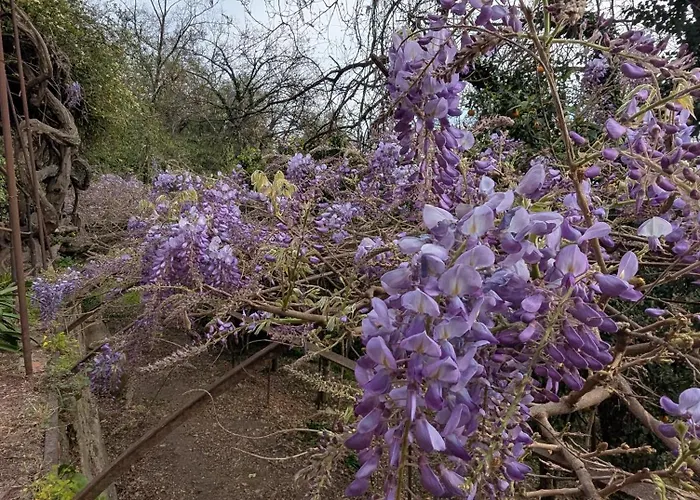 Holiday home Maison De Famille Entre & Collines - Charme, Citronniers Et Tranquillite - Acces Marche Et Sentier 3 Min *