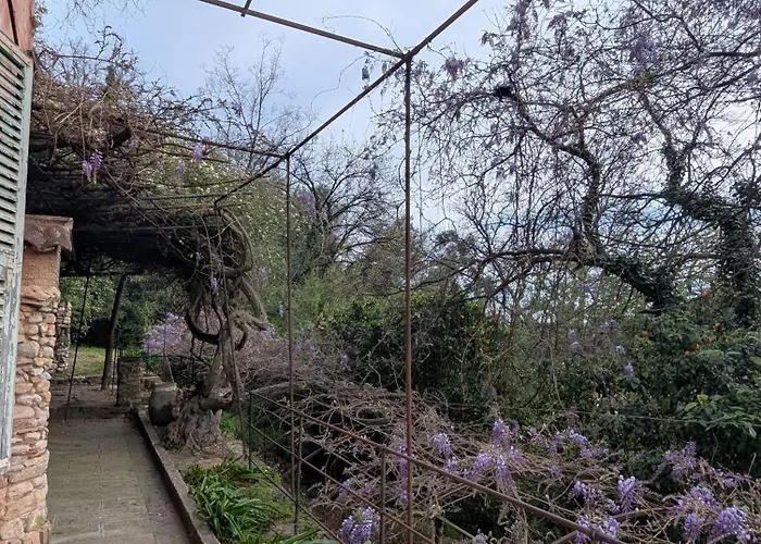 度假居 Maison De Famille Entre & Collines - Charme, Citronniers Et Tranquillite - Acces Marche Et Sentier 3 Min 芒通