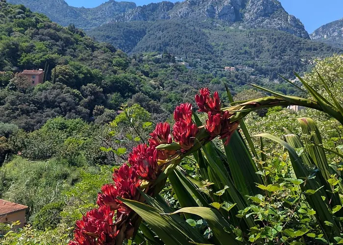 Maison De Famille Entre & Collines - Charme, Citronniers Et Tranquillite - Acces Marche Et Sentier 3 Min * 芒通