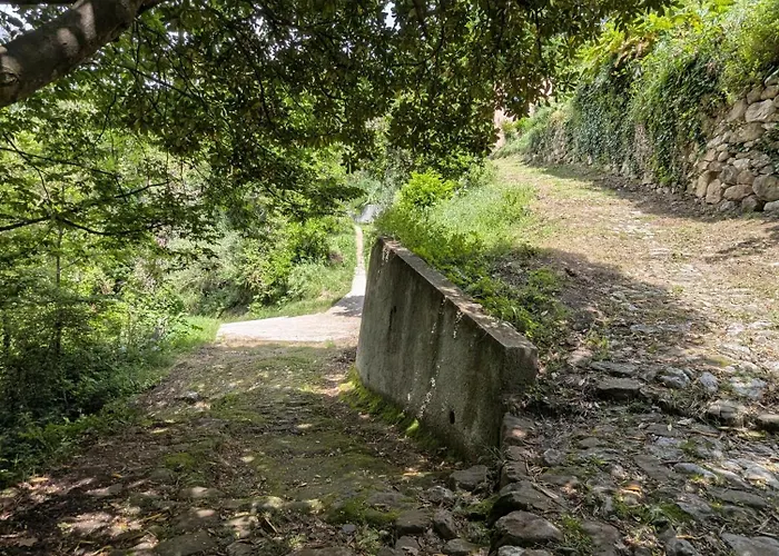 度假居 Maison De Famille Entre & Collines - Charme, Citronniers Et Tranquillite - Acces Marche Et Sentier 3 Min