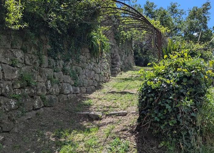 度假居 Maison De Famille Entre & Collines - Charme, Citronniers Et Tranquillite - Acces Marche Et Sentier 3 Min 芒通